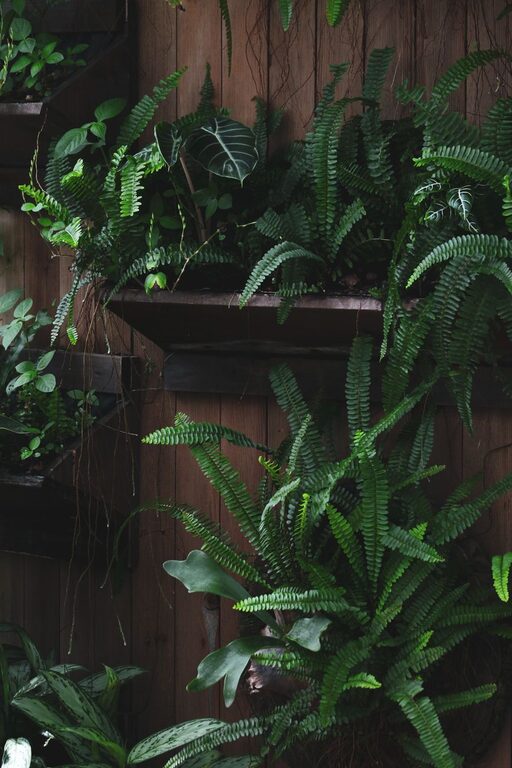Easy Tips for Creating an Eco-Friendly Home Garden